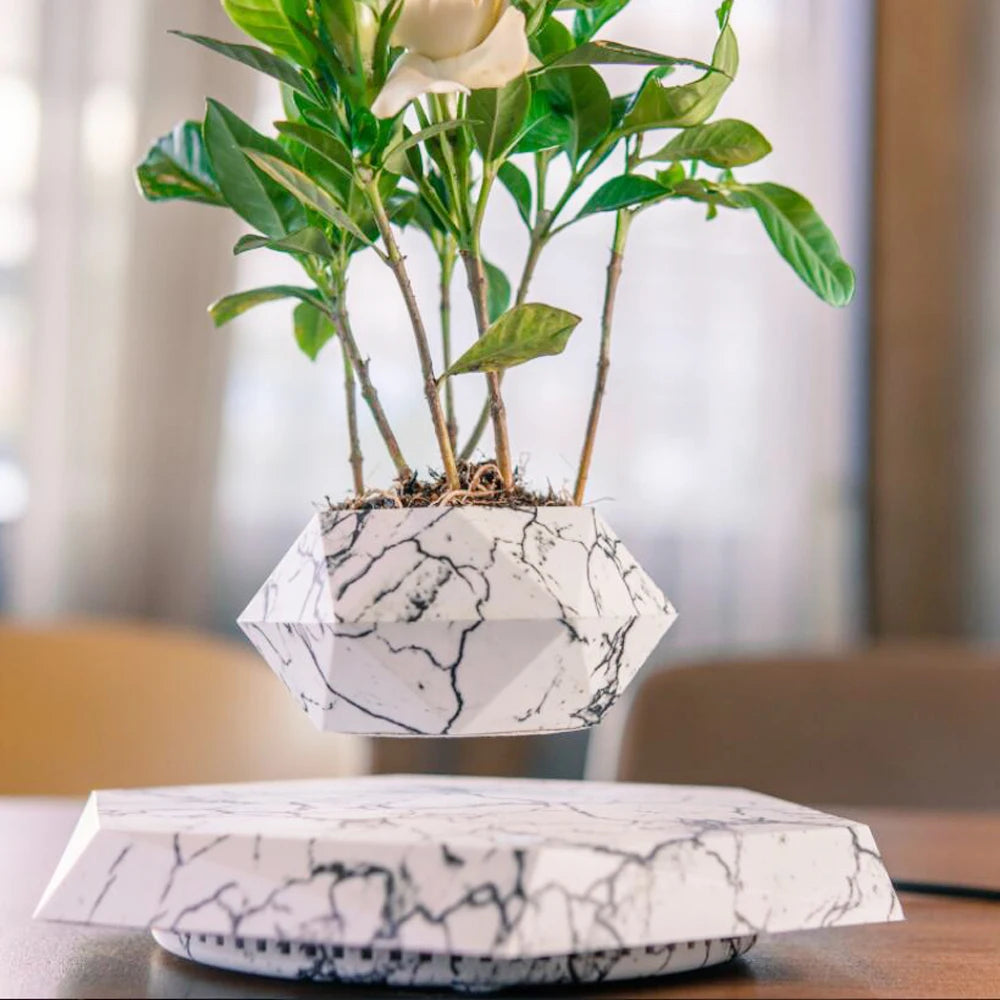 Floating plant pot Color