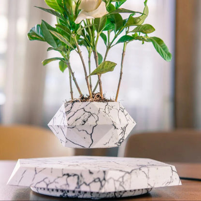 Floating plant pot Color