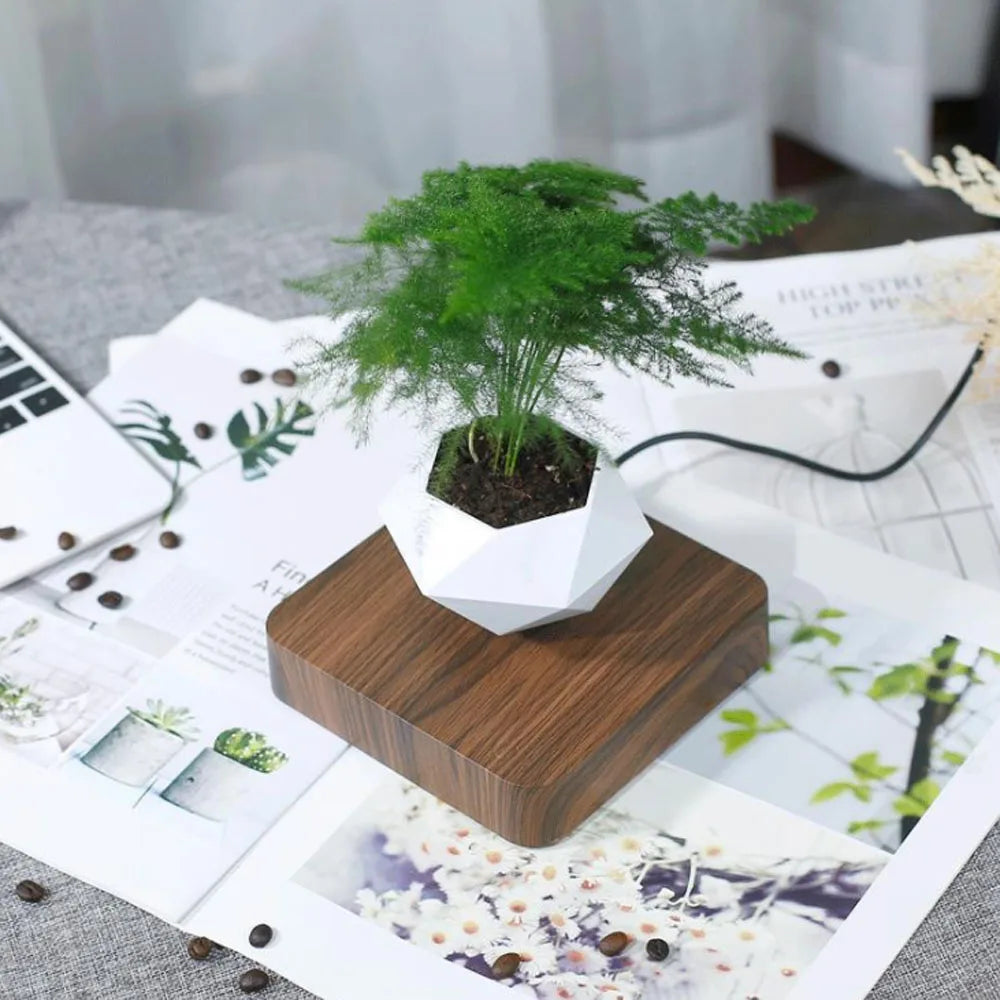 Floating plant pot Front