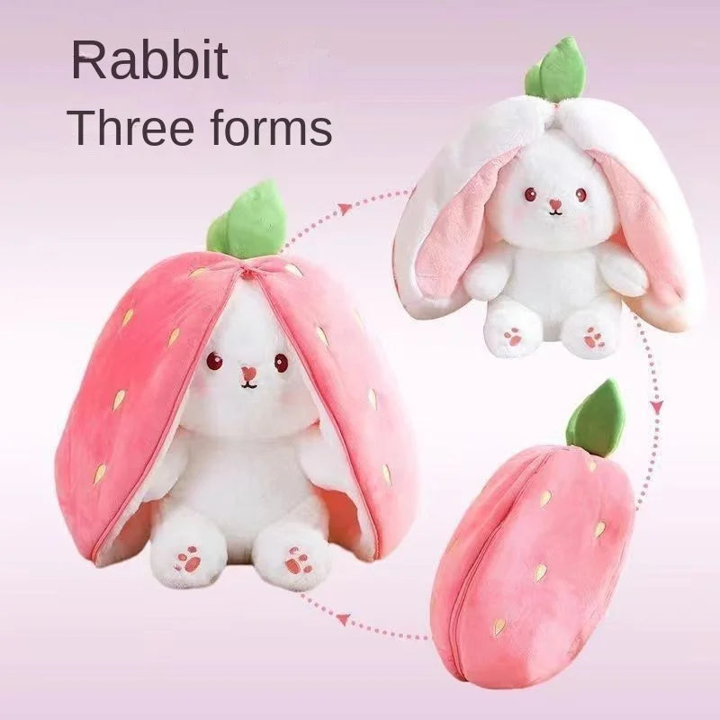 Rabbit three forms